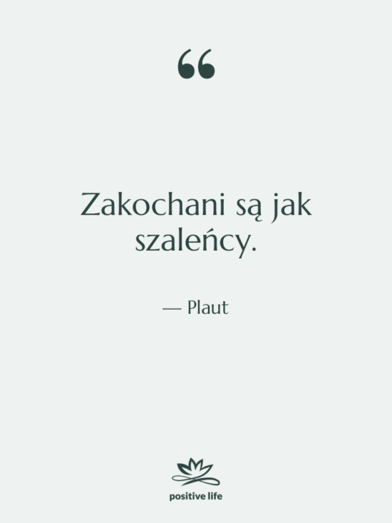 Cytat: Plaut - Zakochani są jak szaleńcy.