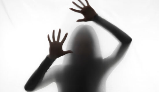 cienista dolina ego Wojciech Eichelberger