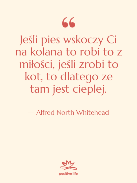 Cytat: Alfred North Whitehead - Jeśli pies wskoczy Ci na&hellip;