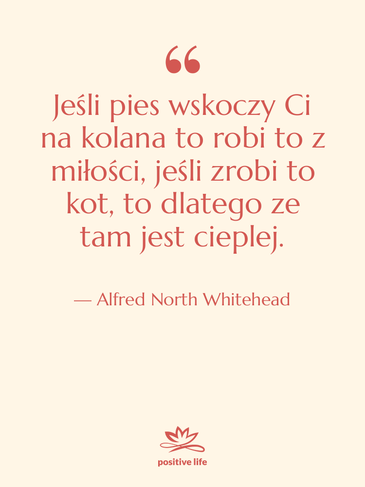 Cytat: Alfred North Whitehead - Jeśli pies wskoczy Ci na…