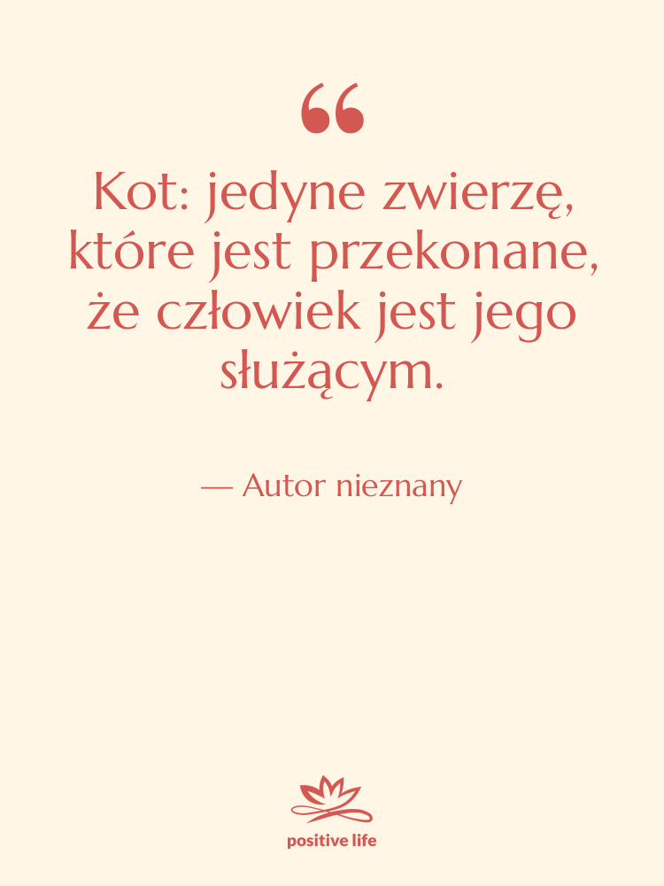 Cytat: Autor nieznany - Kot: jedyne zwierzę, które jest…