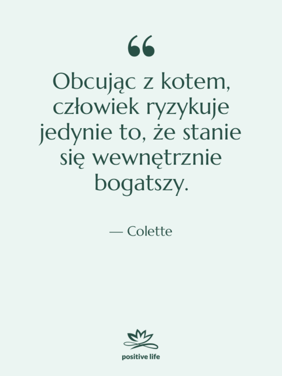 Cytat: Colette - Obcując z kotem, człowiek ryzykuje&hellip;
