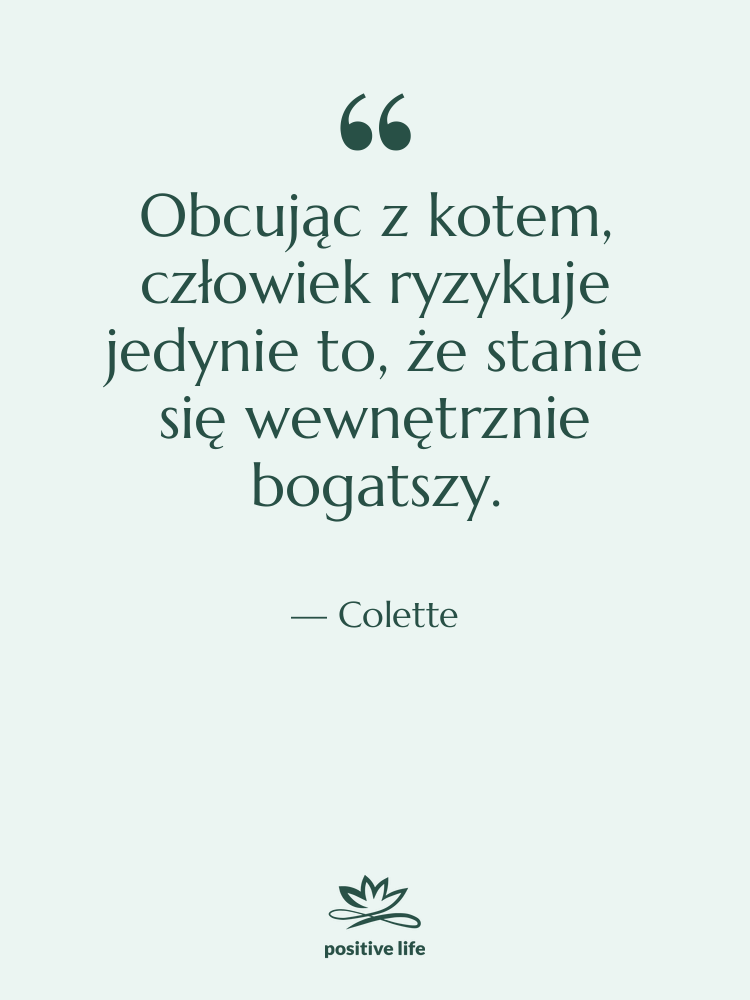 Cytat: Colette - Obcując z kotem, człowiek ryzykuje…
