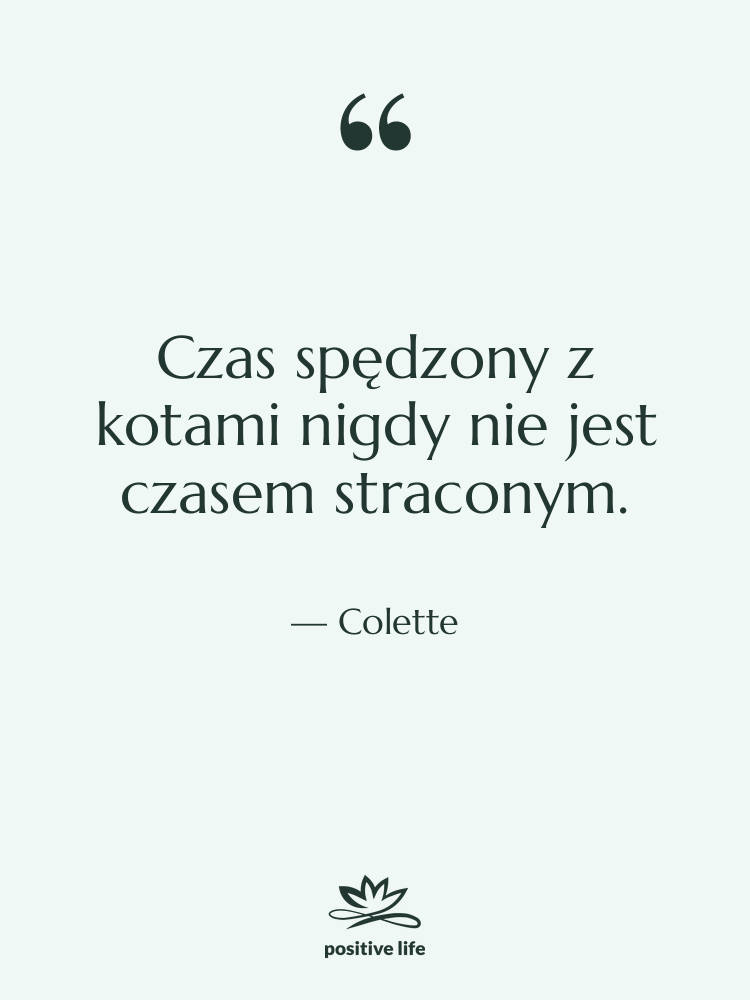 Cytat: Colette - Czas spędzony z kotami nigdy…