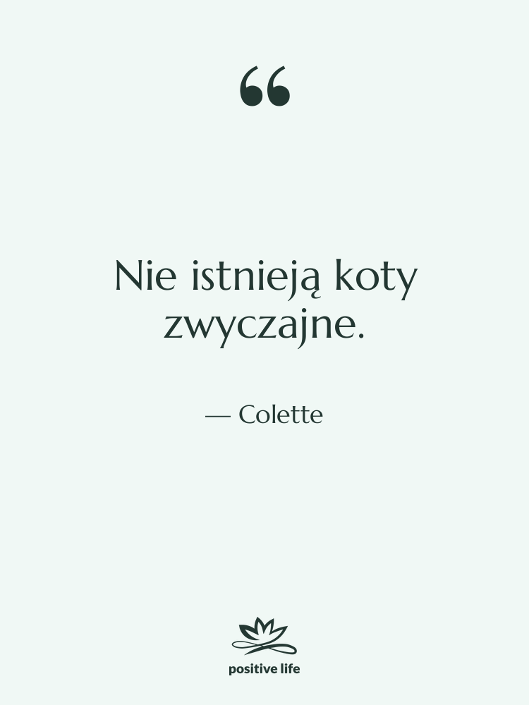 Cytat: Colette - Nie istnieją koty zwyczajne.