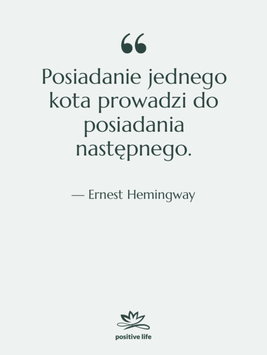 Cytat: Ernest Hemingway - Posiadanie jednego kota prowadzi do&hellip;