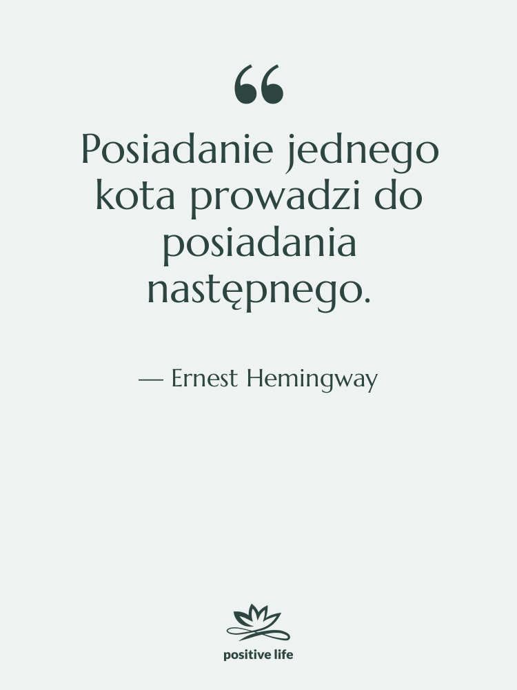 Cytat: Ernest Hemingway - Posiadanie jednego kota prowadzi do&hellip;