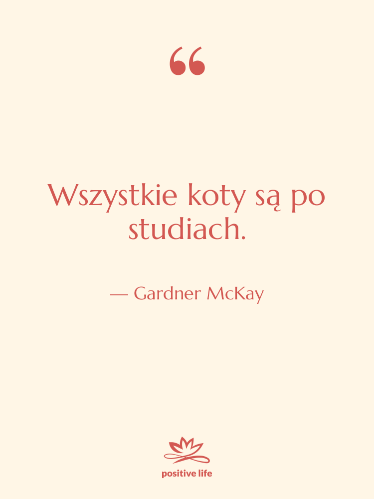 Cytat: Gardner McKay - Wszystkie koty są po studiach.