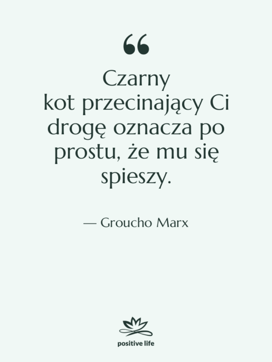 Cytat: Groucho Marx - Czarny kot&nbsp;przecinający Ci drogę oznacza&hellip;