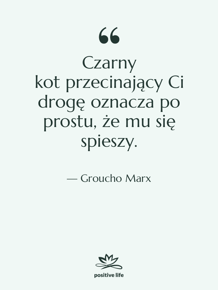 Cytat: Groucho Marx - Czarny kot przecinający Ci drogę oznacza…