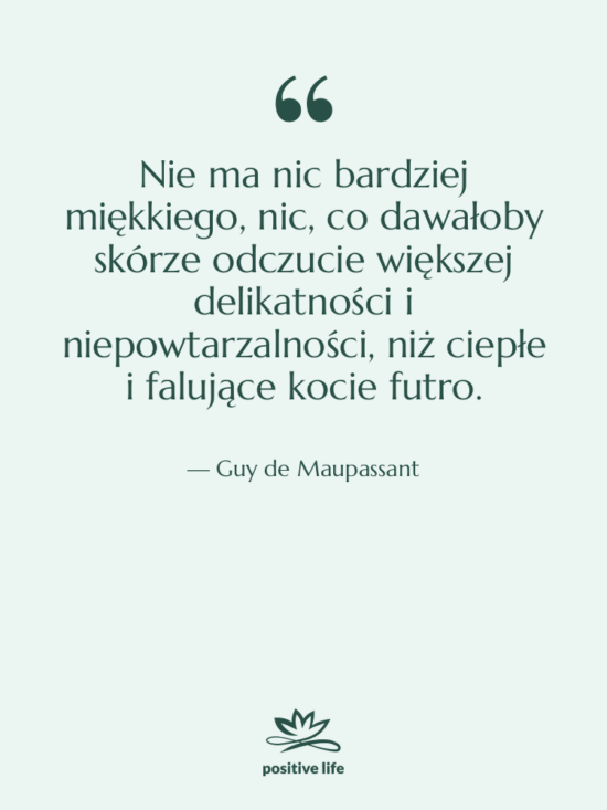 Cytat: Guy de Maupassant - Nie ma nic bardziej miękkiego,&hellip;