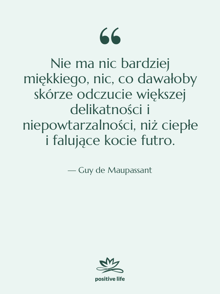 Cytat: Guy de Maupassant - Nie ma nic bardziej miękkiego,…
