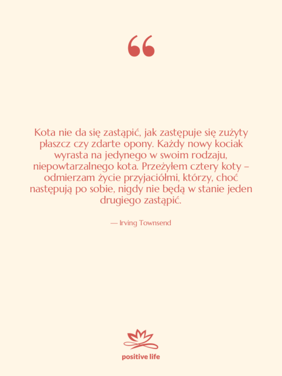 Cytat: Irving Townsend - Kota nie da się zastąpić,&hellip;