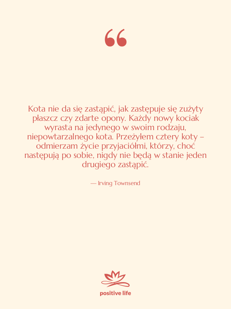 Cytat: Irving Townsend - Kota nie da się zastąpić,&hellip;