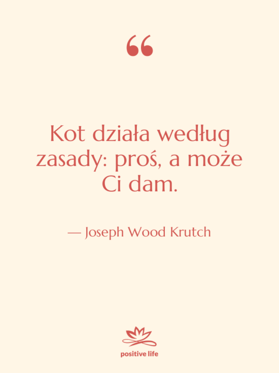 Cytat: Joseph Wood Krutch - Kot działa według zasady: proś,&hellip;