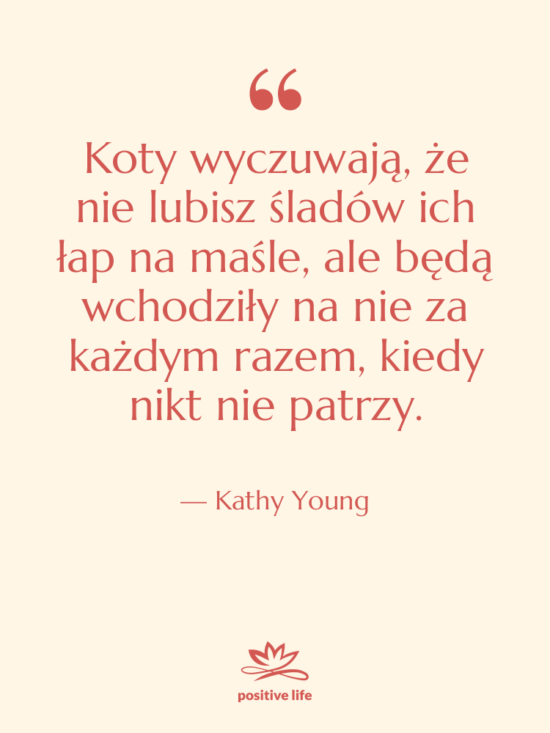 Cytat: Kathy Young - Koty wyczuwają, że nie lubisz&hellip;