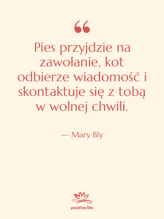 Cytat: Mary Bly - Pies przyjdzie na zawołanie, kot&hellip;