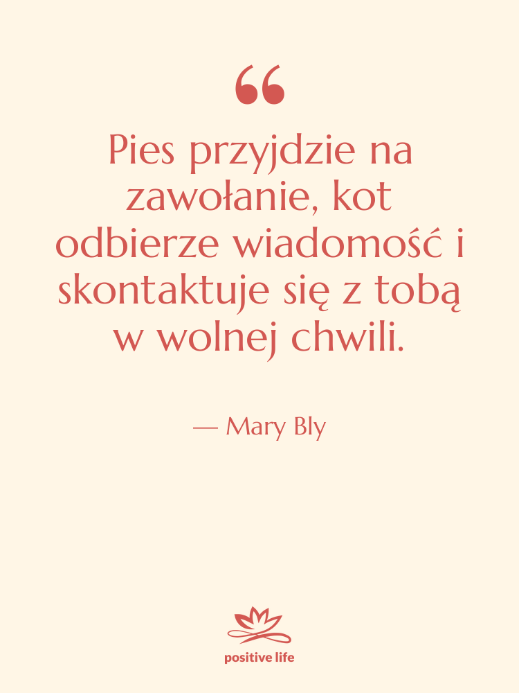 Cytat: Mary Bly - Pies przyjdzie na zawołanie, kot&hellip;