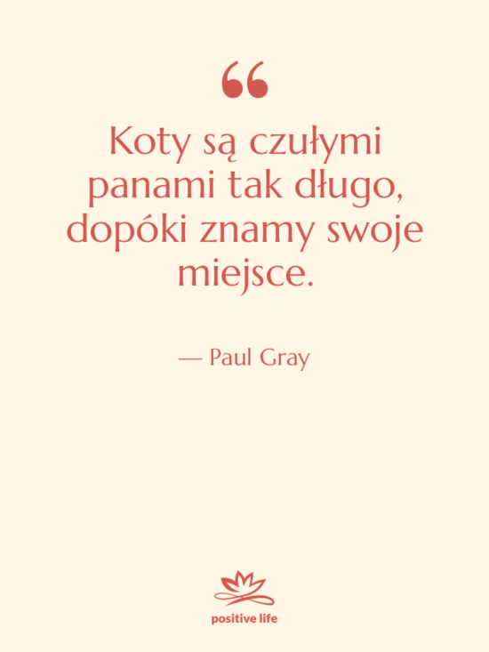 Cytat: Paul Gray - Koty są czułymi panami tak&hellip;