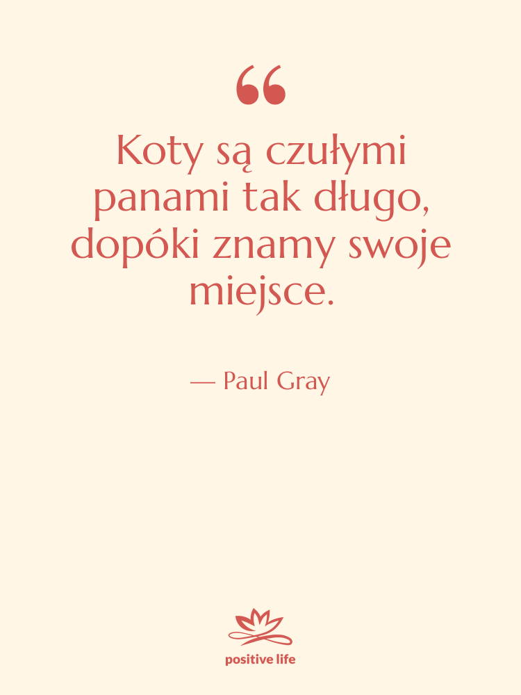 Cytat: Paul Gray - Koty są czułymi panami tak…
