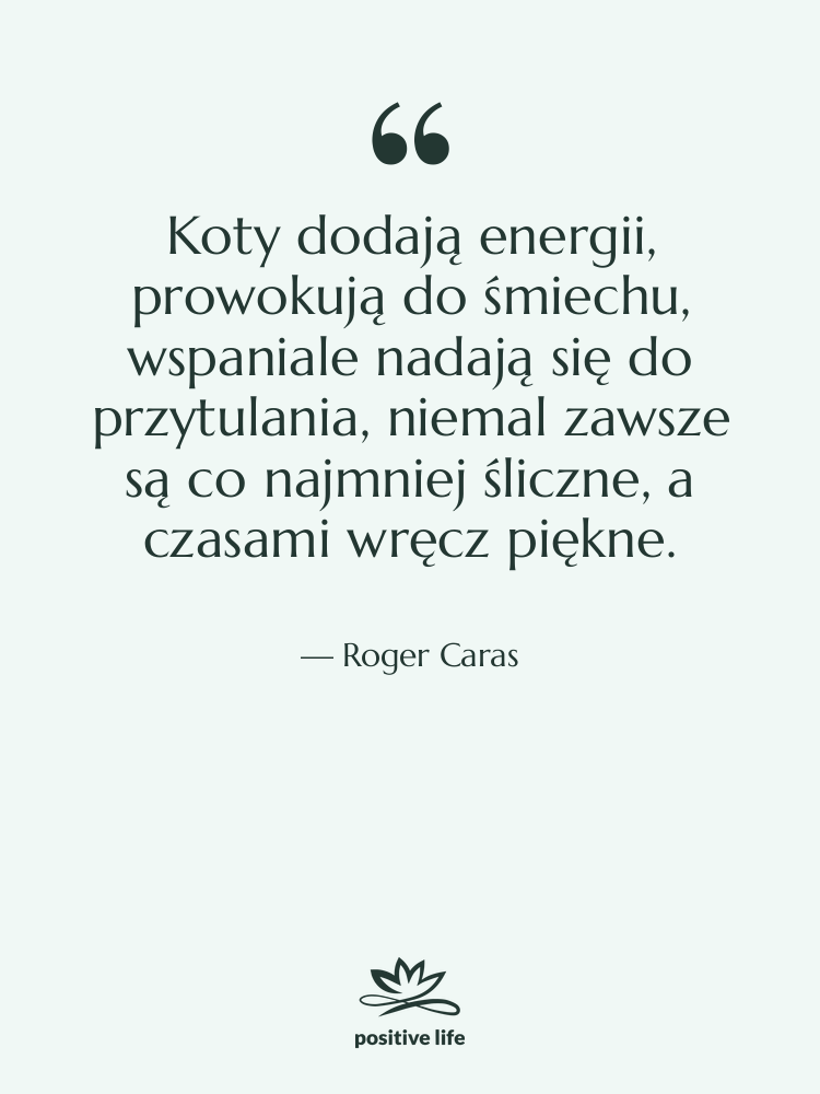 Cytat: Roger Caras - Koty dodają energii, prowokują do…