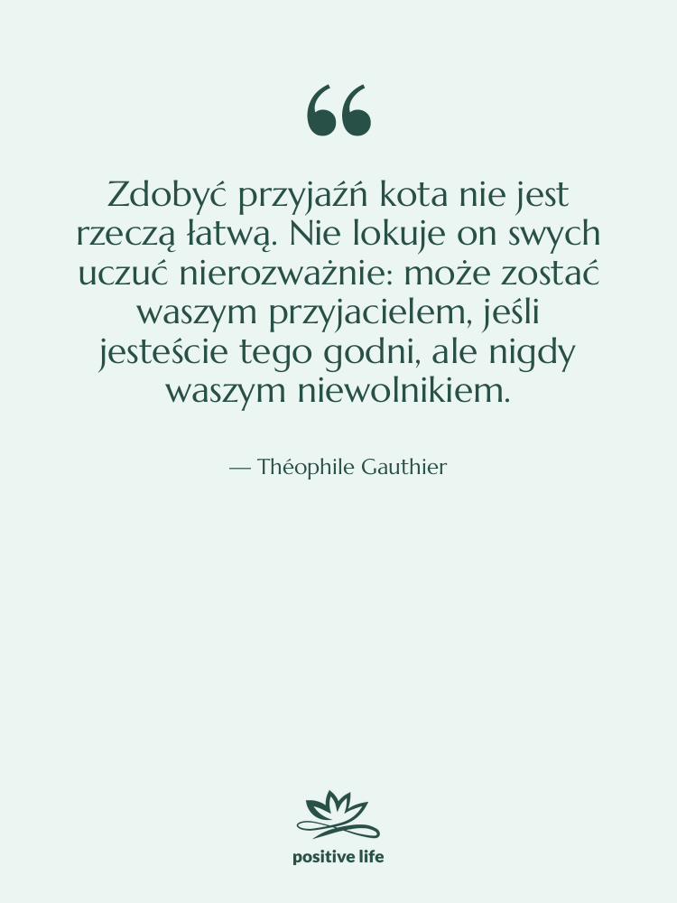 Cytat: Théophile Gauthier - Zdobyć przyjaźń kota nie jest…