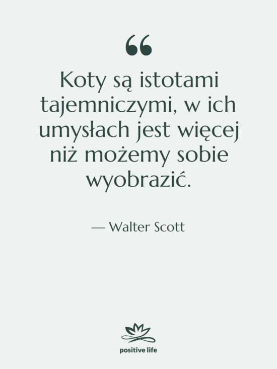 Cytat: Walter Scott - Koty są istotami tajemniczymi, w&hellip;