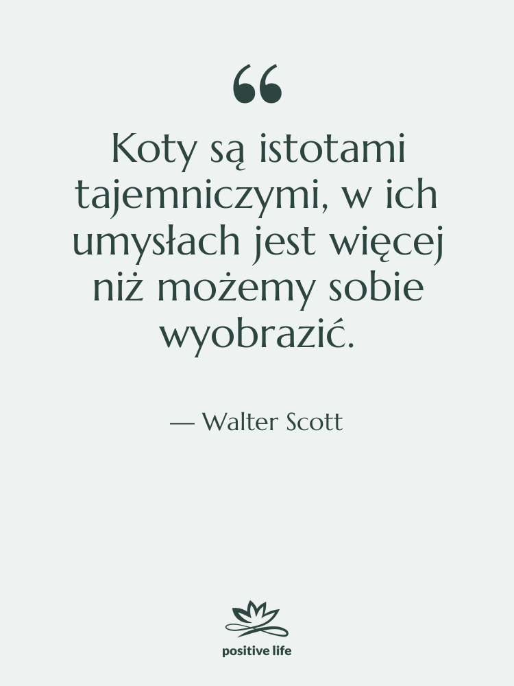 Cytat: Walter Scott - Koty są istotami tajemniczymi, w…