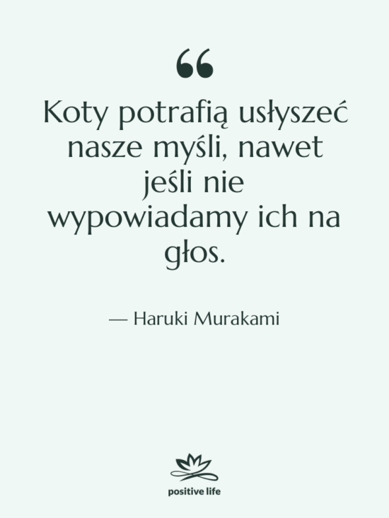 Cytat: Haruki Murakami - Koty potrafią usłyszeć nasze myśli,&hellip;