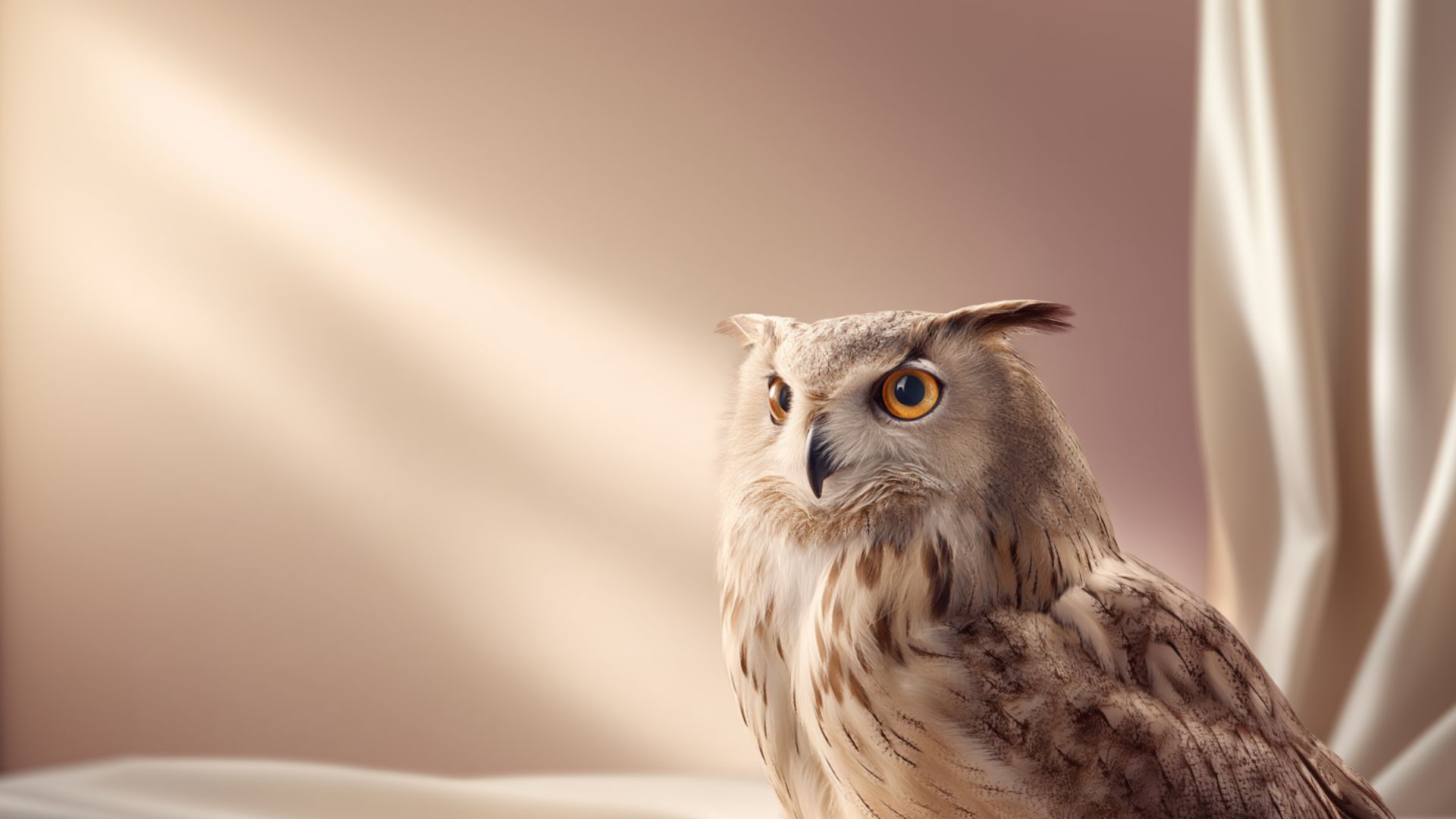 Umysł, który się nie starzeje